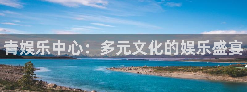 辉达官网首页登录入口