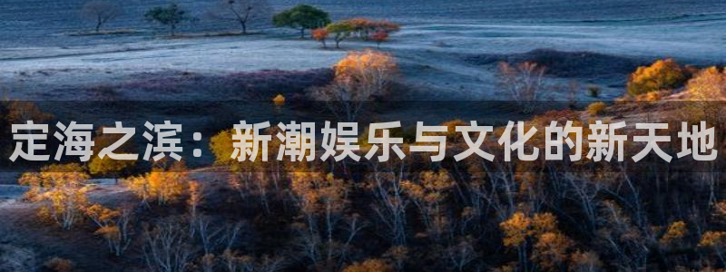 辉达平台注册