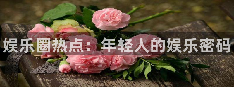 辉达娱乐链接
