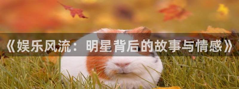 辉达娱乐地址：《娱乐风流：明星背后的故事与情感》