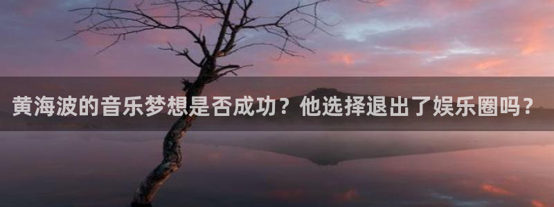 辉达娱乐入口
