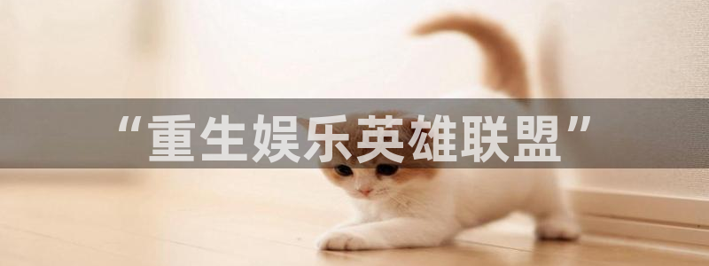 辉达娱乐主管