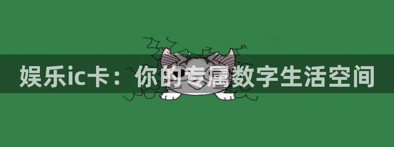 辉达娱乐在线注册：娱乐ic卡：你的专属数字生活空间