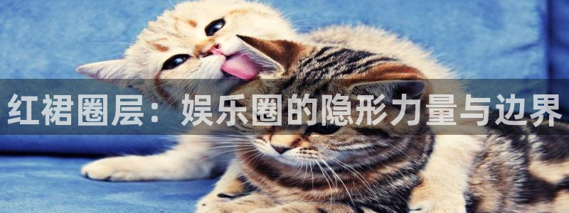 辉达娱乐注册：红裙圈层：娱乐圈的隐形力量与边界